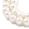 Natural Cultured Freshwater Pearl Beads Strands PEAR-C003-23-4
