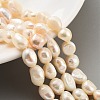 Natural Cultured Freshwater Pearl Beads Strands PEAR-P062-28E-2