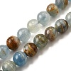 Natural Blue Calcite Beads Strands G-H312-C02-10mm-2
