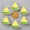 Transparent Enamel Acrylic Beads TACR-S155-001B-3