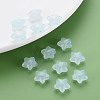 Transparent Acrylic Beads MACR-S373-26E-07-6