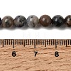 Natural Sodalite Beads Strands G-F591-13B-5