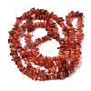 Natural Freshwater Shell Beads Strands SHEL-S278-070C-2