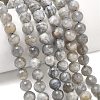 Natural Labradorite Beads Strands G-L642-F07-8mm-1