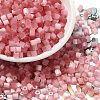 Glass Seed Beads X1-SEED-H002-D-A810-1