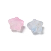 Frosted Acrylic Charms OACR-M023-04G-2