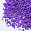Baking Paint Cylinder Seed Beads SEED-Q036-02A-D08-3