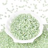 FGB Imitation Jade Colours Glass Seed Beads SEED-Q040-07A-C04-2
