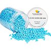 8/0 Round Glass Seed Beads SEED-PH0005-05-1