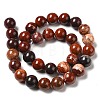 Natural Red Snakeskin Jasper Beads Strands G-H298-A02-05-3