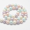 Shell Pearl Bead Strands X-BSHE-L017-10-2