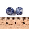 Natural Blue Spot Jasper Beads G-T092-10mm-11-3