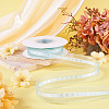 Polyester Lace Ribbon OCOR-TADJ0001-07G-4