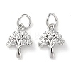 Rack Plating Brass Micro Pave Clear Cubic Zirconia Charms KK-D097-05P-1