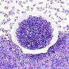 Spray Painted Glass Seed Beads SEED-T007-08F-1