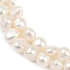 Natural Cultured Freshwater Pearl Beads Strands PEAR-P064-19D-13A-4