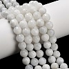 Natural Rainbow Moonstone Beads Strands G-C280-B15-8mm-1
