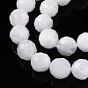 Natural Moonstone Beads Strands G-S345-10mm-36-4