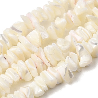 Natural White Mother of Pearl Shell Chip Bead Strands G-M205-63-1