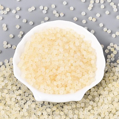 Frosted Glass Seed Beads SEED-N012-01F-1