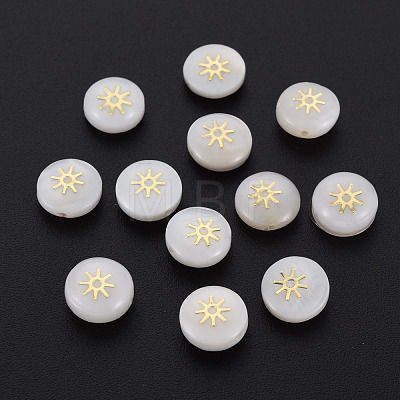 Natural Freshwater Shell Beads SHEL-N003-22-10-1