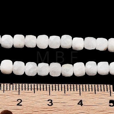 Natural Rainbow Moonstone Beads Strands G-H042-A02-02-1