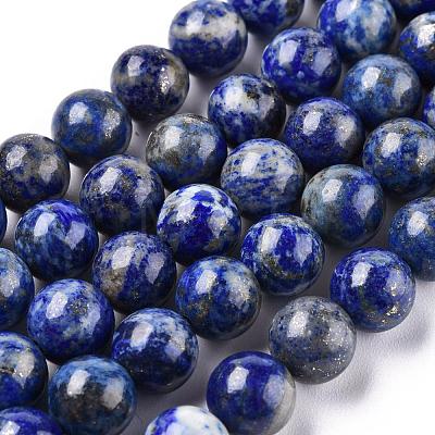 Natural Lapis Lazuli Round Bead Strands X-G-E262-01-10mm-1