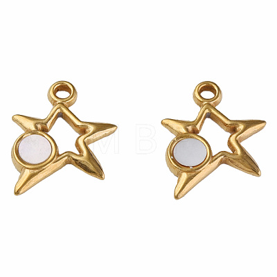 304 Stainless Steel Charms STAS-N087-51-05G-1