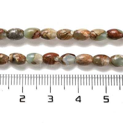 Natural Aqua Terra Jasper  Beads Strands G-F765-I01-01-1