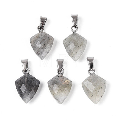 Natural Labradorite Pendants G-N349-18P-04-1