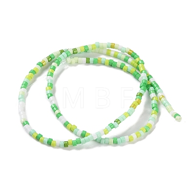 Handmade Czech Lampwork Beads Strands LAMP-L078-008-1