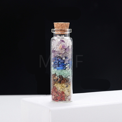 Transparent Glass Wishing Bottle Decoration PW-WG92605-01-1
