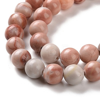 Natural Gemstone Beads Strands G-D481-10-1