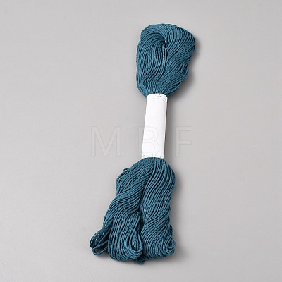 Cotton Embroidery Floss DIY-WH20062-145A-1