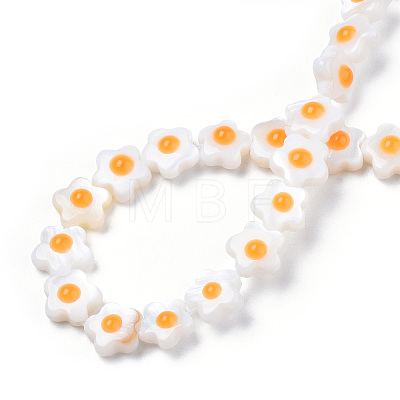 Natural Freshwater Shell Beads Strands SHEL-N003-31A-01-1