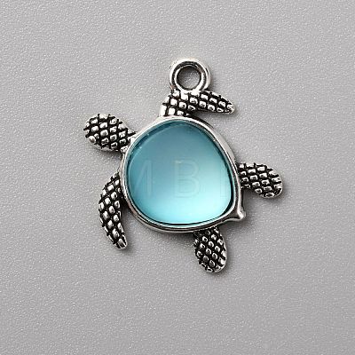 Tibetan Style Alloy Pendants FIND-WH0050-01B-1