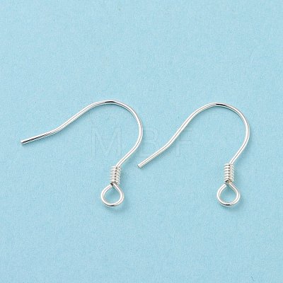 925 Sterling Silver Earring Hooks STER-D035-22S-1