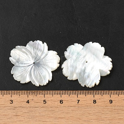 Natural White Shell Beads SHEL-M021-08B-1