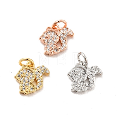 Squirrel Brass Micro Pave Clear Cubic Zirconia Charms KK-G425-11-1