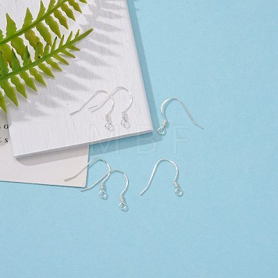 925 Sterling Silver Earring Hooks STER-K167-049A-S-1