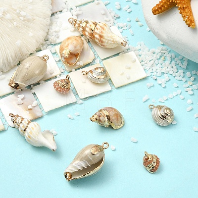 10Pcs 5 Styles Electroplated Natural Mixed Shell Pendants BSHE-YW0001-22-1