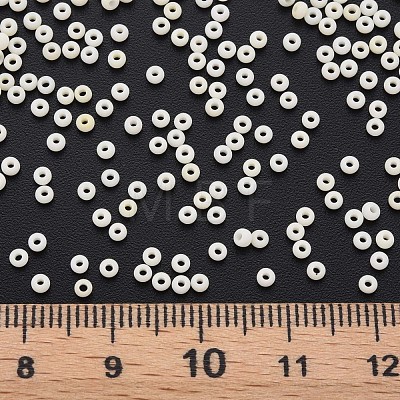 13/0 Glass Seed Beads SEED-T005-14A-A07-1