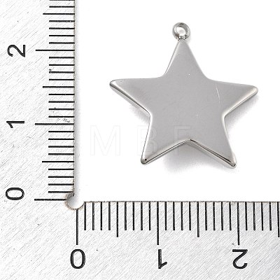 304 Stainless Steel Pendants STAS-Z121-02P-1