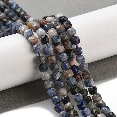 Natural Sodalite Beads Strands G-G140-C05-03-1