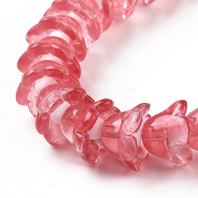 Transparent Glass Beads Strands LAMP-H061-01A-04-1