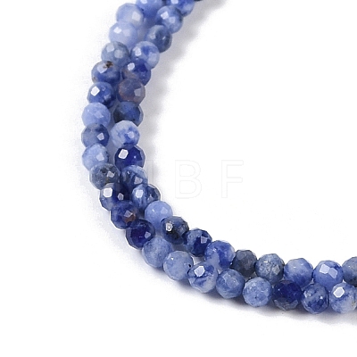 Natural Sodalite Beads Strands X-G-G139-A07-02-1