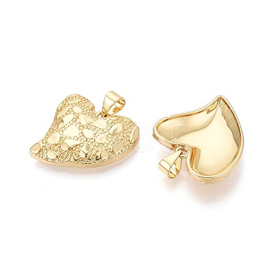 Textured Brass Pendants KK-T080-62G-1