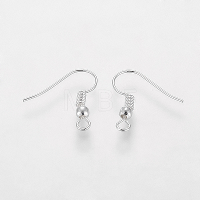 Grade A Silver Color Plated Iron Earring Hooks X-EC135-S-NF-1