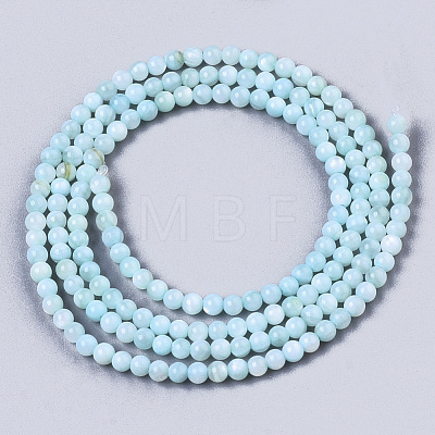 Natural Freshwater Shell Beads Strands X-BSHE-T009-01C-1