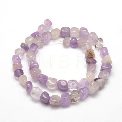 Natural Amethyst  Beads Strands G-F464-12-1